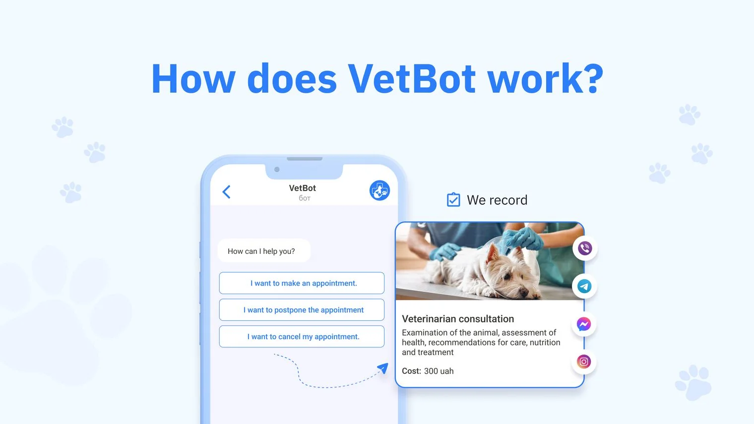Opportunities for the client — INBOOST VetBot